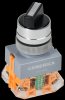 Generica BSW50-11X22-3-22-2-K02-G Переключатель D7-11X22 2 полож. 1NC+1NO