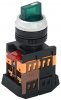 Generica BSW10-ANC-2-K06 Переключатель АNС-22-2 зел. неон/240В 2 пол. NO+NC